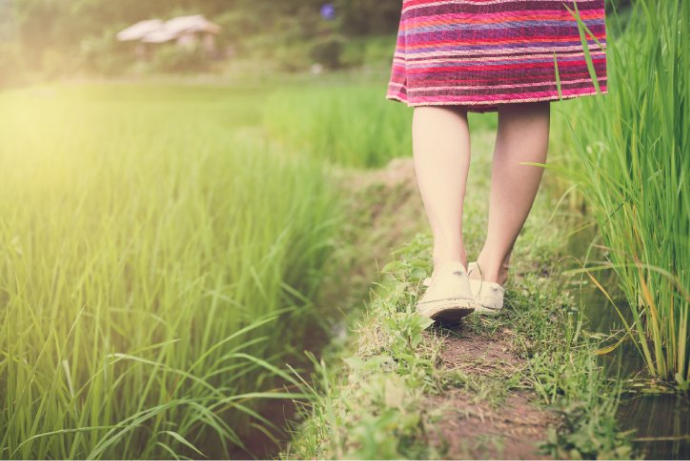 אישה הולכת בשדה דשא, רואים רק רגליים