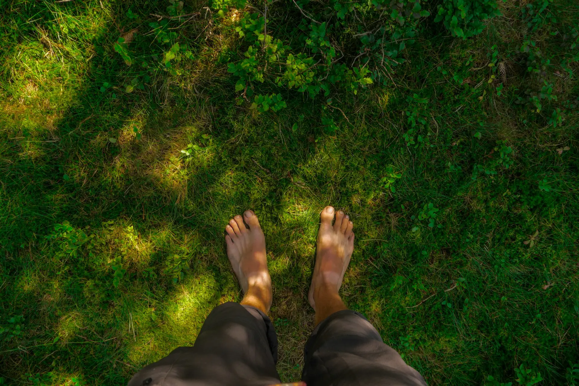 אדם עומר יחף על דשא