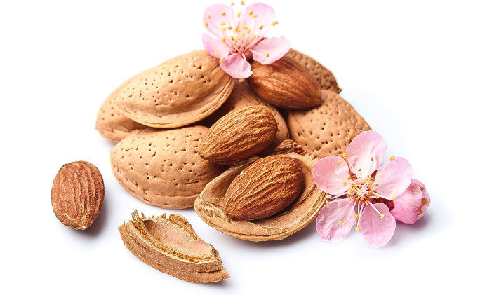 אגוז שקדים בקליפה וגם מפוצח ליד פרח שקדיה על רקע לבן