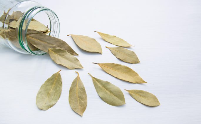 עלי דפנה יבשים על שולחן לבן לצד צינצנת